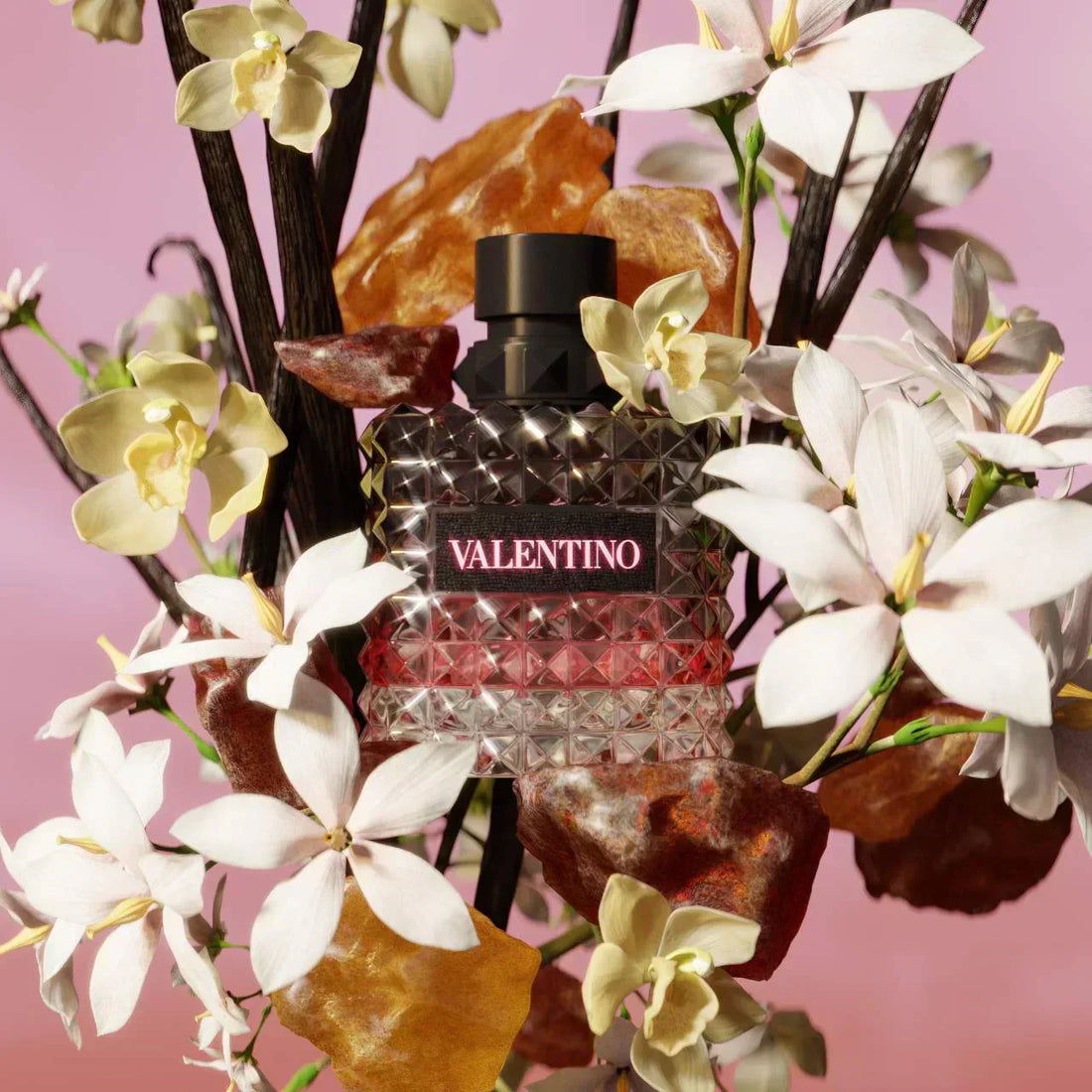 Valentino Donna Born in Roma